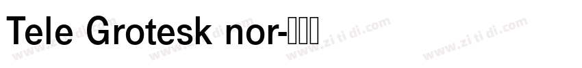 Tele Grotesk nor字体转换